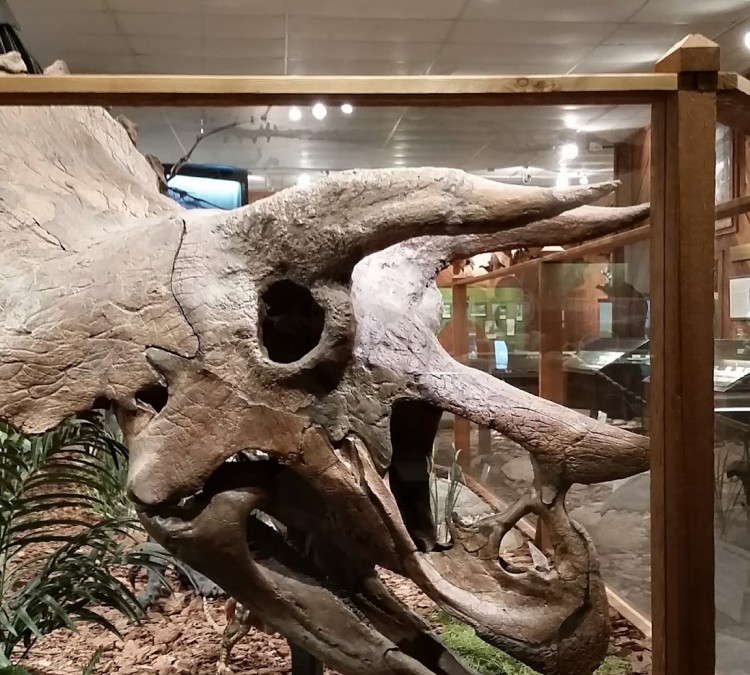 Brazosport Museum of Natural Science (Clute,&nbspTX)